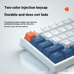 61 Key Small Bluish Black Black Tea Shaft Wired Hot Plug Computer Mechanical Keyboard